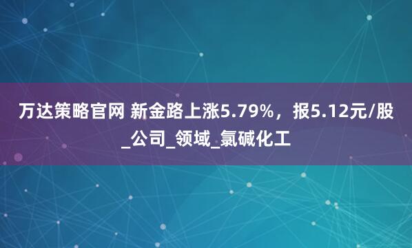 万达策略官网 新金路上涨5.79%，报5.12元/股_公司_领域_氯碱化工